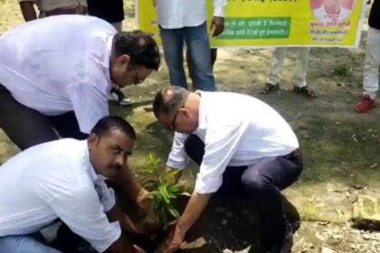 रिद्धि सिद्धि कल्याण समिति द्वारा नर्मदा तीर्थ स्थल पर किया गया वृक्षारोपण कार्यक्रम