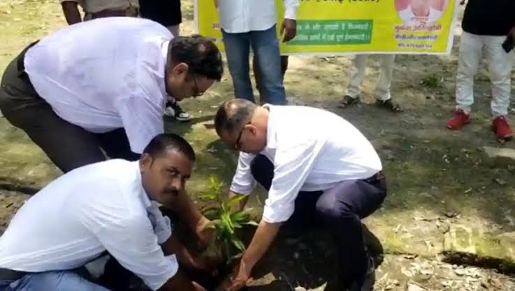 रिद्धि सिद्धि कल्याण समिति द्वारा नर्मदा तीर्थ स्थल पर किया गया वृक्षारोपण कार्यक्रम