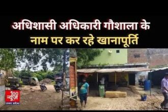 Hardoi News: अधिशासी अधिकारी गौशाला के नाम पर कर रहे खानापूर्ति