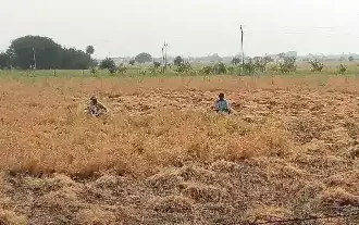 संसाधनों की कमी या किसी और वजह से किसानों की फसलें क्यों जल रही हैं? लोगों ने उठाई मांग