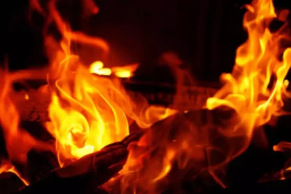 Kanpur News: झोपड़ी में लगी आग, 2 बच्चे जिंदा जले, मां घायल