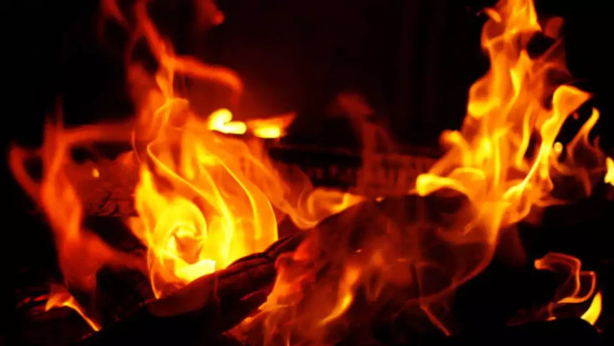 Kanpur News: झोपड़ी में लगी आग, 2 बच्चे जिंदा जले, मां घायल