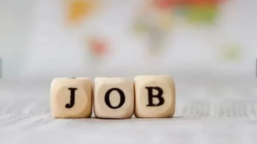 UPSSSC Recruitment 2024 : राज्य कृषि उत्पादन मंडी परिषद में सचिव ग्रेड-II के 134 पदो पर निकली भर्ती, जानें जरूरी डिटेल