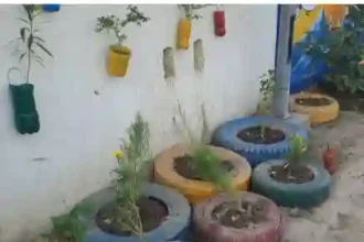 Hardoi News: 'मेरा आंगन, मेरी हरियाली' कार्यक्रम में नहीं पहुंचे ईओ