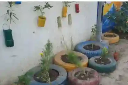 Hardoi News: 'मेरा आंगन, मेरी हरियाली' कार्यक्रम में नहीं पहुंचे ईओ