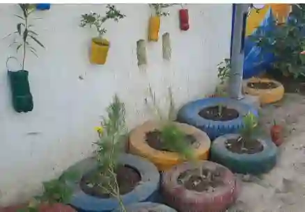 Hardoi News: 'मेरा आंगन, मेरी हरियाली' कार्यक्रम में नहीं पहुंचे ईओ