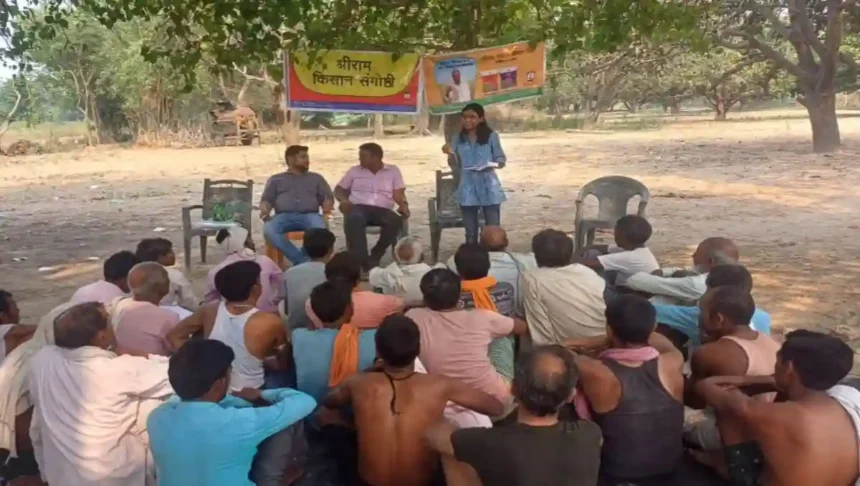 Hardoi News: खरपतवारों का नियंत्रण करना जरूरी : गुंजन सिंह