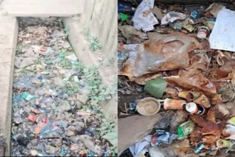 Hardoi News: शहर में जगह-जगह लगे हैं कूड़े के ढेर और बजबजा रहीं है नालियां