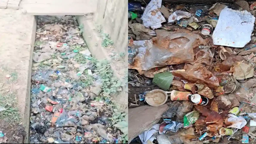 Hardoi News: शहर में जगह-जगह लगे हैं कूड़े के ढेर और बजबजा रहीं है नालियां