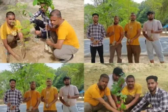 Hardoi News: विश्व पर्यावरण दिवस पर संस्था द्वारा लगाए गए पौधे