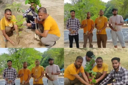 Hardoi News: विश्व पर्यावरण दिवस पर संस्था द्वारा लगाए गए पौधे