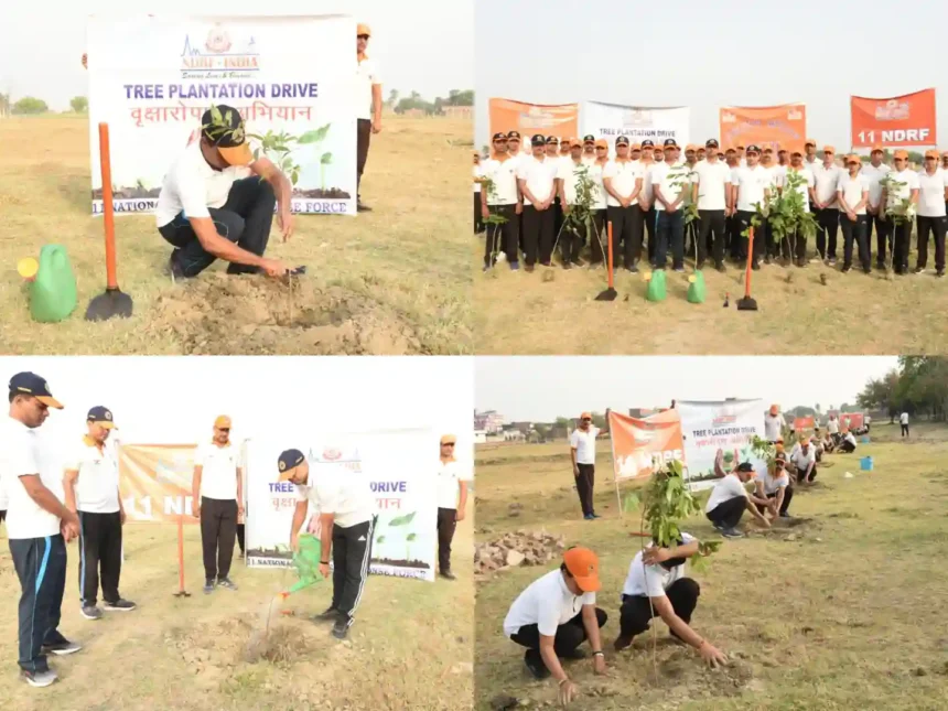 Varanasi News: एनडीआरएफ ने चलाया वृहद वृक्षारोपण अभियान