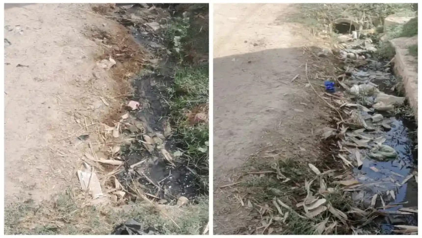 Hardoi News: ग्राम पंचायत हर्रई में महीनों से नही हुई सफ़ाई, बजबजा रहीं नालियां सफाई कर्मी नदारत