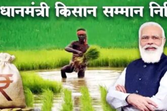 PM Kisan Samman Nidhi Yojana: पीएम मोदी ने वाराणसी से पीएम किसान की 17वीं क़िस्त की जारी, अगर आपका पैसा नहीं आया तो क्या करें, आइए जानें....