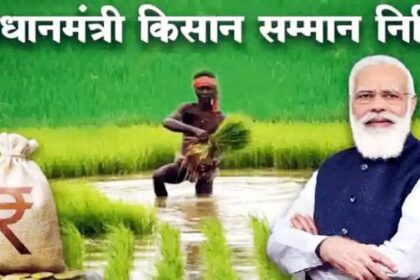 PM Kisan Samman Nidhi Yojana: पीएम मोदी ने वाराणसी से पीएम किसान की 17वीं क़िस्त की जारी, अगर आपका पैसा नहीं आया तो क्या करें, आइए जानें....