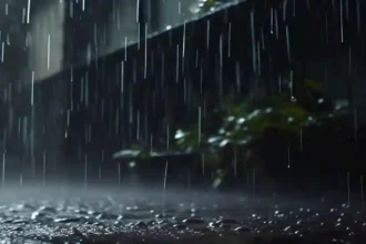 Monsoon in UP: प्रदेश के कई हिस्सों में अगले कई दिन तक भारी बारिश की चेतावनी