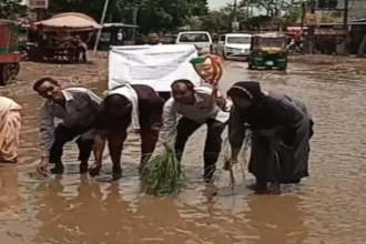 बागपत के समाजसेवी ने की सड़क पर धान की रोपाई, कहा- मार्ग बदहाली झेल रहा, शिकायत के बाद समाधान नहीं होता
