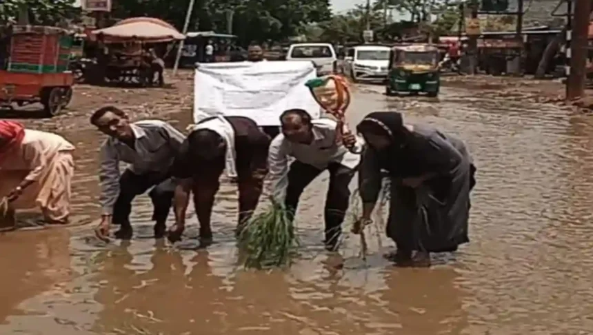 बागपत के समाजसेवी ने की सड़क पर धान की रोपाई, कहा- मार्ग बदहाली झेल रहा, शिकायत के बाद समाधान नहीं होता