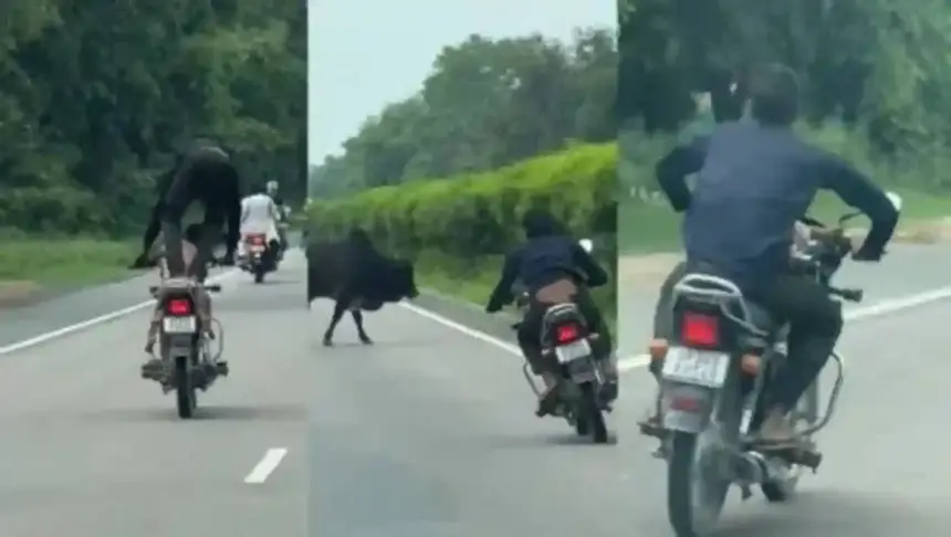 एक शख्स ने मासूम बच्चे को बाइक पर बैठाकर किया खतरनाक स्टंट, देखें वायरल वीडियो