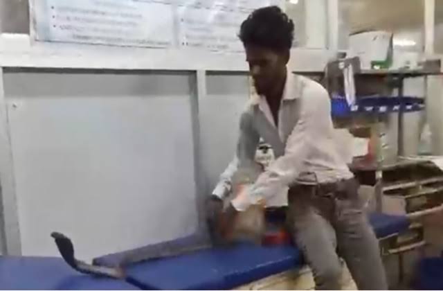 बहराइच में सांप लेकर अस्पताल पहुंचा युवक, डॉक्टरों से कहा-यही है जिसने मुझे काटा, सभी हैरान