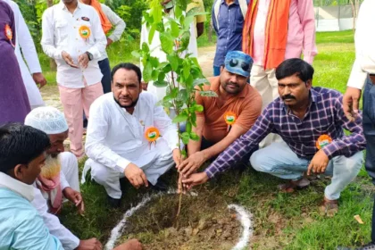 Hardoi News: पौधारोपण से धरा पर छाएगी हरियाली, जीवन में आएगी खुशहाली
