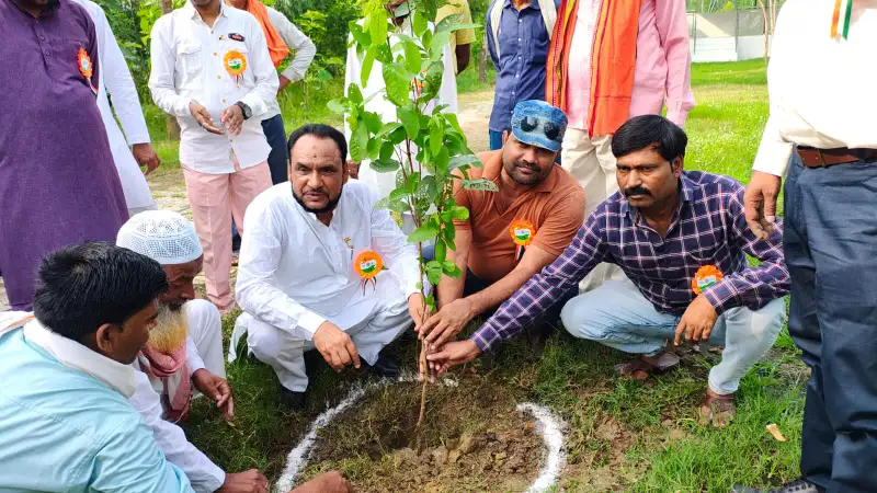 Hardoi News: पौधारोपण से धरा पर छाएगी हरियाली, जीवन में आएगी खुशहाली