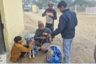 Hardoi News: गौसेवा के भाव के साथ गोवंश संरक्षण के मिले अच्छे परिणामः- जिलाधिकारी