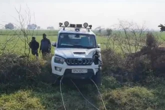 जालौन में नीलगाय से टकराने के बाद एआरटीओ की कार खाई में पलटी, एआरटीओ समेत 4 घायल