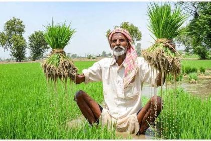 Hardoi News: कृषक अंश की अवशेष धनराशि 06 जनवरी तक जमा करेः- उपनिदेशक