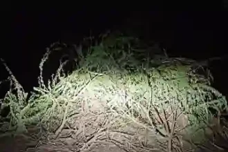 Hardoi News: विकासखंड हरियावा के ग्राम पंचायतो में होलिका दहन को लेकर तैयारियां पूर्ण, भद्रा के कारण मुहूर्त रात 11.30 बजे