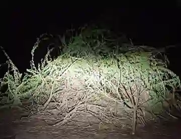 Hardoi News: विकासखंड हरियावा के ग्राम पंचायतो में होलिका दहन को लेकर तैयारियां पूर्ण, भद्रा के कारण मुहूर्त रात 11.30 बजे