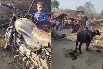Hardoi News: अज्ञात कारणों से लगी आग, भैंस व मोटर साइकिल जलकर खाक, प्रशासन ने नहीं ली सुध