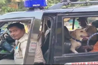 मैनपुरी में डायल-112 के वाहन का दुरुपयोग, इंस्पेक्टर साहब का पालतू कुत्ता पुलिस जीप से पहुंचा अस्पताल