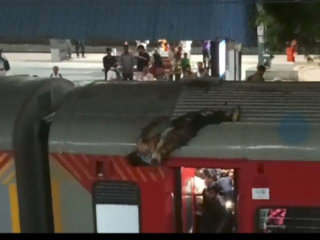 मिर्जापुर में महानंदा एक्सप्रेस की छत पर चढ़ा युवक, झुलसा