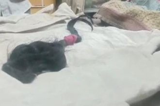 हरदोई में दहेज की मांग पूरी न होने पर पति ने पत्नी की काटी चोटी