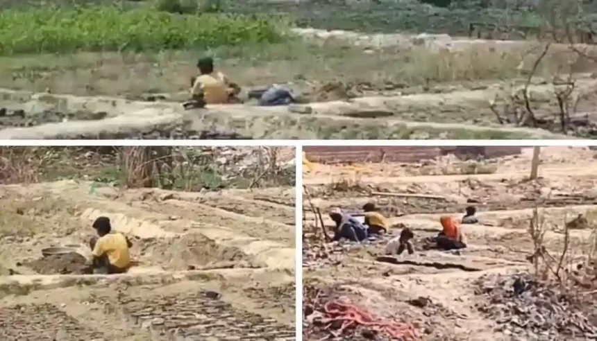 Hardoi News: वन विभाग की नर्सरी में बच्चों से कराई जा रही मजदूरी, वीडियो वायरल