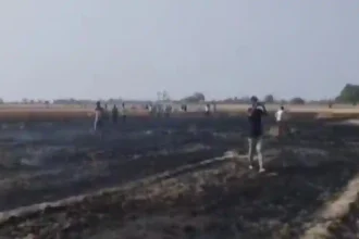 Hardoi News: खेतों में भीषण आग से कई बीघा गेहूं की फसल राख, ग्रामीणों ने बुझाई आग