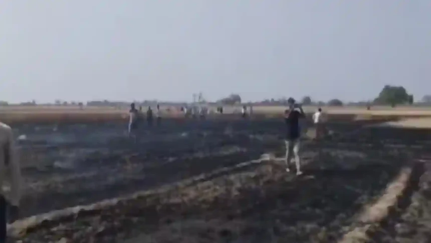 Hardoi News: खेतों में भीषण आग से कई बीघा गेहूं की फसल राख, ग्रामीणों ने बुझाई आग