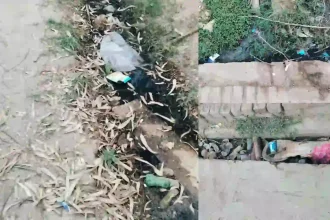 Hardoi News: रावल गाँव मे सफ़ाई कर्मी की शिथिलता से कीचड़ से भरी नालियां।