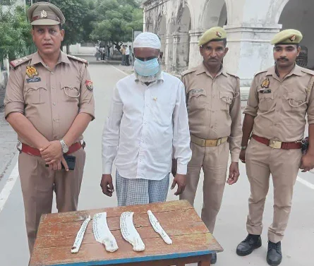 Hardoi News: बकरे का मांस बिक्री करने वाले को किया गिरफ्तार,एक फरार