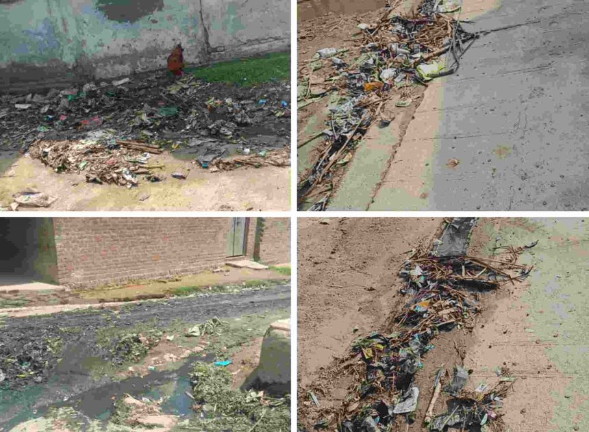 वि०खं० पिसावाँ के माथन में गंदगी से जाम नालियां, सफाई कर्मी मनोज एडीओ पंचायत का फर्जी ड्राइवर बता के चला रहा गाड़ी