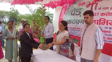 Hardoi News: मंडलायुक्त ने कामीपुर व उदरा पचलाई में किया पौधरोपण