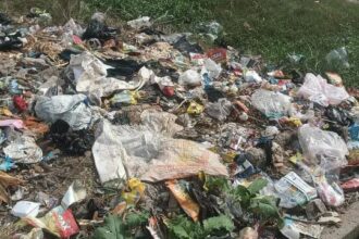 Hardoi News: स्वच्छता अभियान को पलीता लगाती नगर पालिका बिलग्राम, जगह-जगह कूड़ा जमा होने से बीमारियों का बढ़ रहा खतरा