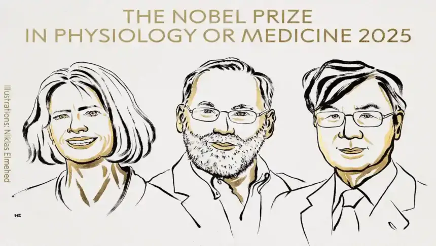 Nobel Prize 2025: मैरी ब्रुनको, फ्रेड रामस्डेल और शिमोन साकागुची को मिला मेडिसिन का नोबेल पुरस्कार