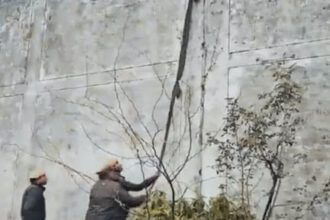 जेल अफसर जश्न मनाते रहे, कंबल की रस्सी बनाकर दीवार फांदकर भाग गए दो बंदी, जेलर समेत 5 सस्पेंड