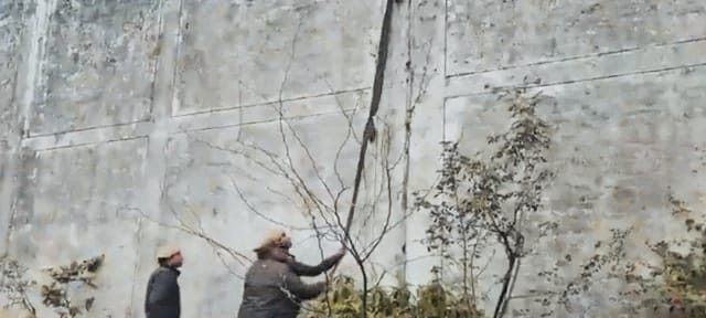 जेल अफसर जश्न मनाते रहे, कंबल की रस्सी बनाकर दीवार फांदकर भाग गए दो बंदी, जेलर समेत 5 सस्पेंड